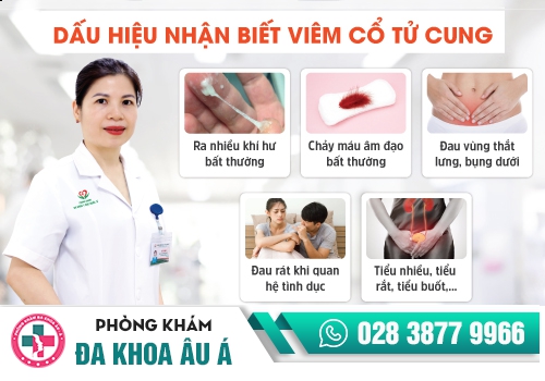 Các bệnh vùng kín phổ biến nhất hiện nay - chị em nên cảnh giác